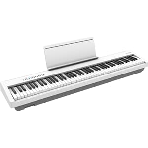 fp-30x-wh.jpg