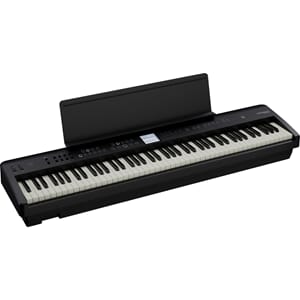 fp-e50_angle_music_rest.jpg