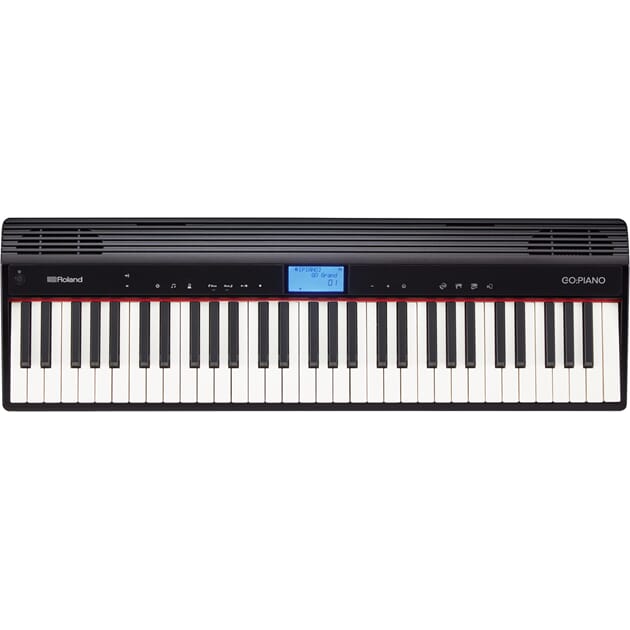 gopiano_main_gal.jpg