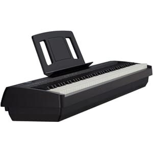 roland-fp-10-bk_2_1.jpg