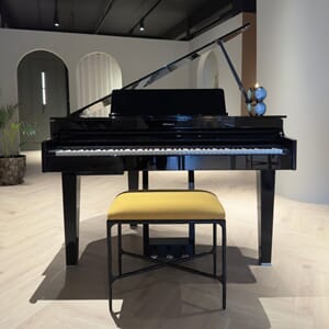 Roland GP 6- Black Tumeric Linen