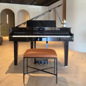 Roland GP 6- Black Hazelnut