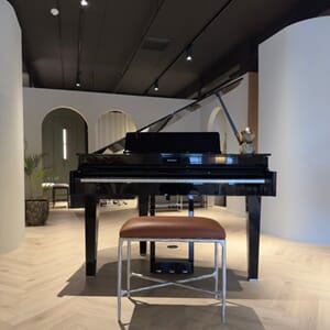 Roland GP 6- Silver Hazelnut