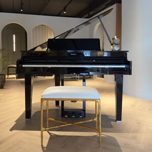 Roland GP 6- Gold Cream