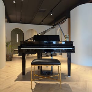 Roland GP 6- Gold Ebony