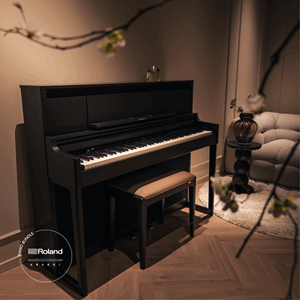 Roland LX6 Svart Interiör Krakki Pianopaket