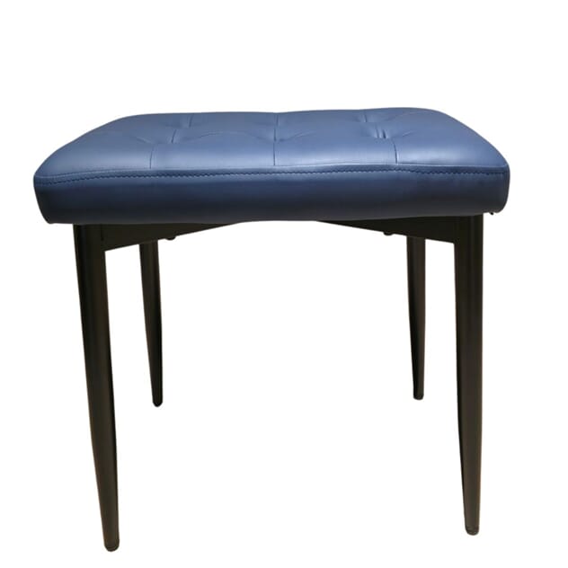 Blåkrakk1 med hvit.jpg