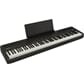 FP-40_BK_DR1_BK_w_MUSIC_REST_1.jpg