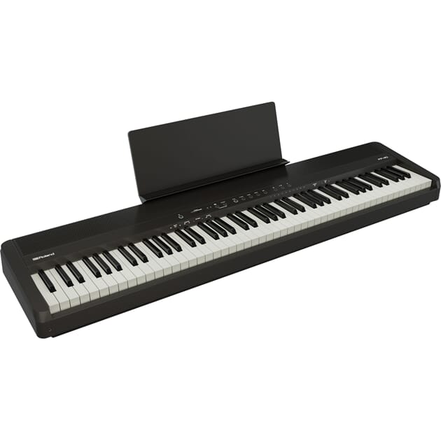 FP-40_BK_DR1_BK_w_MUSIC_REST_2.jpg