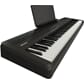 FP-40_BK_HERO_w_MUSIC_REST_1.jpg