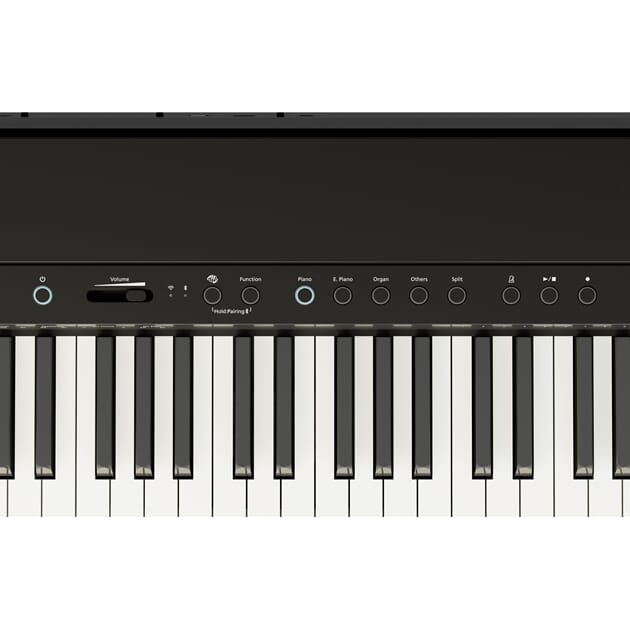 FP-40_BK_PANEL_1.jpg