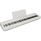 FP-40_WH_DR1_w_MUSIC_REST_1.jpg
