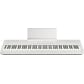 FP-40_WH_FRONT_w_MUSIC_REST.jpg