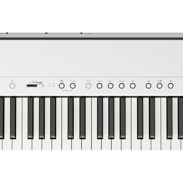 FP-40_WH_PANEL_2.jpg