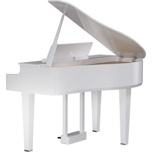gp-6-pw_back_angle_gal.jpg