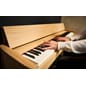Kiyola_KF-20_light_oak_keyboard2.jpeg