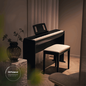 Roland FP-10 Svart Interiör Krakki Pianopaket
