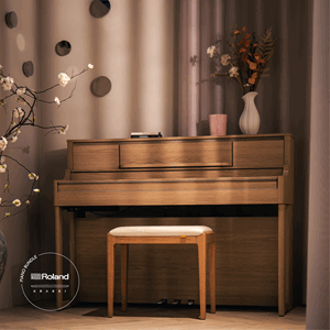 Roland LX5 Ek Interiör Krakki Pianopaket