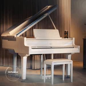 Roland GP9 Vit Pianolack Interiör Krakki Pianopaket