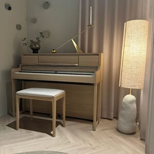 Roland LX5 -  Interiör Paket
